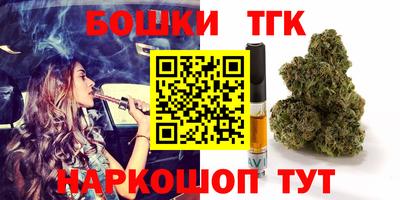 тгк Будённовск