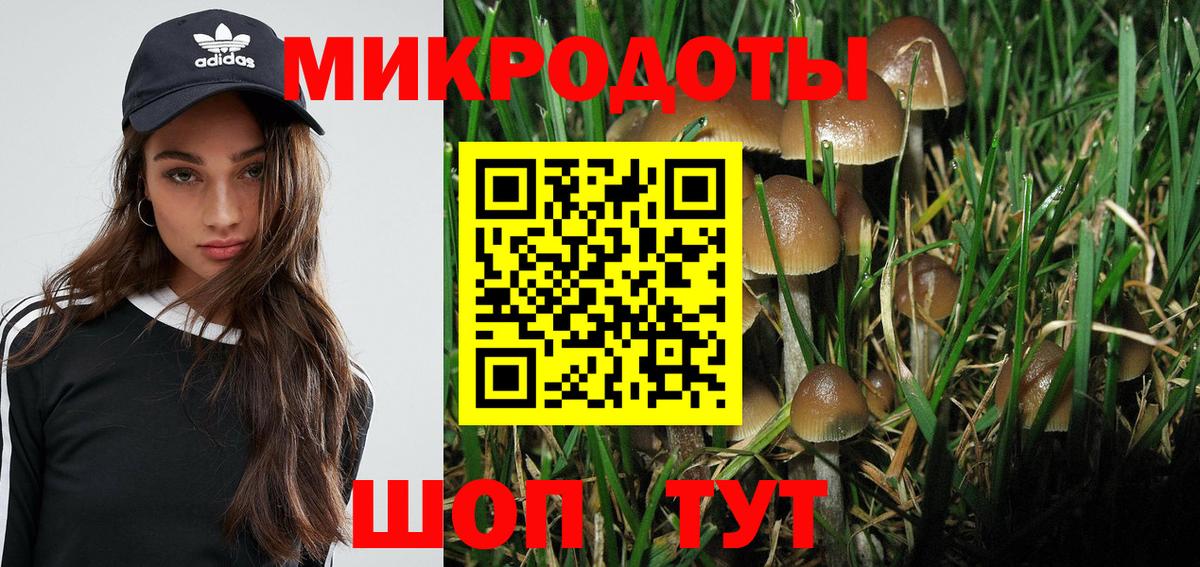 Псилоцибиновые грибы ЛСД Конаково