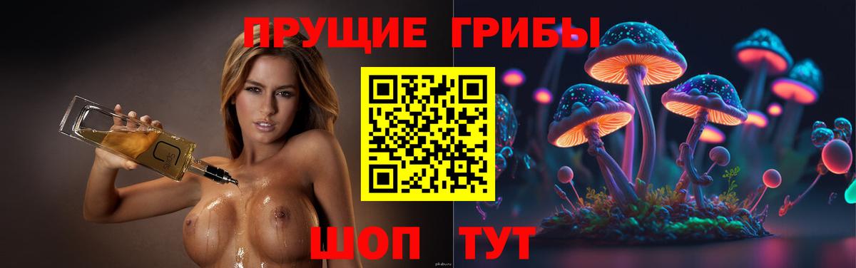 Псилоцибиновые грибы MAGIC MUSHROOMS  Вход с VPN  Конаково  где купить наркотик  Галлюциногенные грибы прущие грибы 